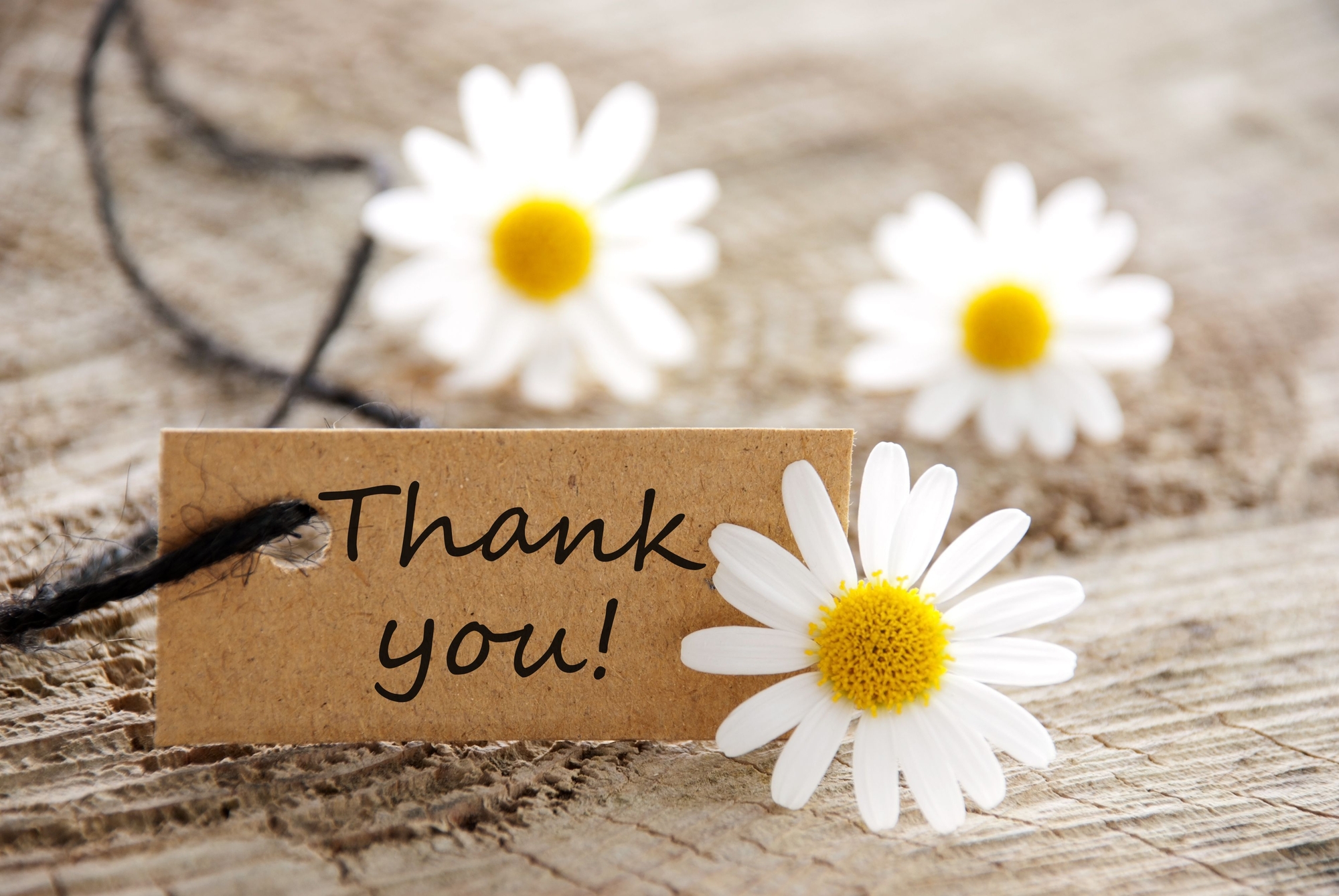 Natural looking label with thank you